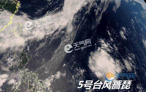 最新實(shí)時(shí)臺(tái)風(fēng)風(fēng)力查詢(xún)指南，風(fēng)力信息及查詢(xún)步驟全解析