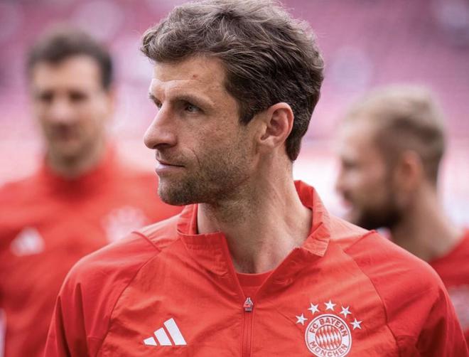 慕尼黑最新動(dòng)態(tài)，城市生活的溫馨日常