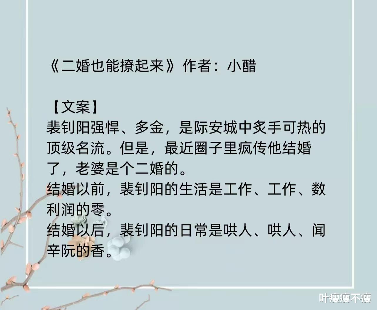 最新二婚小說，小巷深處的浪漫故事