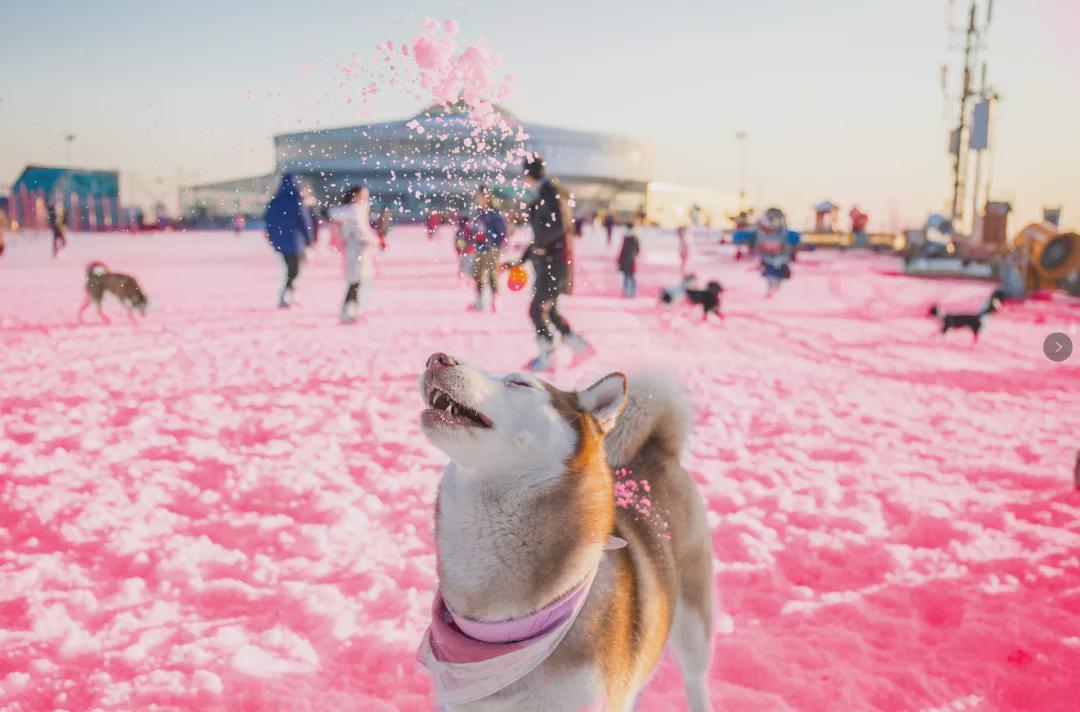 小信的世界最新科技前沿產(chǎn)品亮相，生活變革從此刻啟程
