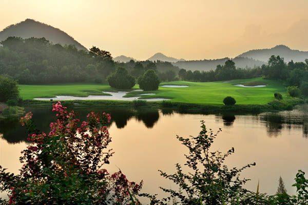 風(fēng)水最新動(dòng)態(tài)，日常小事中的風(fēng)水奧秘與溫馨解讀