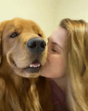 時(shí)代潮流還是陷阱？深度解讀最新趨勢(shì)背后的真相